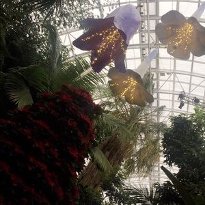 Meet your Posher, Mimi